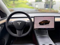 Tesla Model Y Rear-Wheel Drive - ფოტო 19