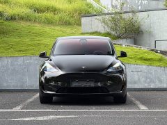 Tesla Model Y Rear-Wheel Drive - ფოტო 2