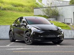 Tesla Model Y Rear-Wheel Drive - ფოტო 3