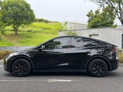 Tesla Model Y Rear-Wheel Drive - ფოტო 4