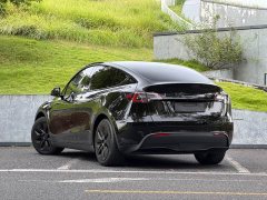 Tesla Model Y Rear-Wheel Drive - ფოტო 5