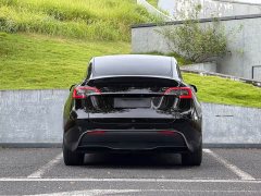 Tesla Model Y Rear-Wheel Drive - ფოტო 6