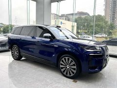Denza BYD Denza N9 2025 Flagship - ფოტო 2
