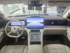 Denza BYD Denza N9 2025 Flagship - ფოტო 5