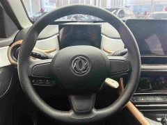 Dongfeng Nano BOX 2022 Chasing Wind 351KM Standard - ფოტო 16