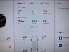 Li Auto L8 Pro - ფოტო 10