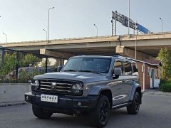 Tank 300 2021 City Edition 2.0T Essential - ფოტო 1