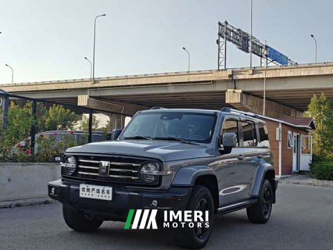2022 Tank 300 2021 City Edition 2.0T Essential - ავტომობილი ჩინეთიდან