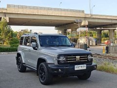 Tank 300 2021 City Edition 2.0T Essential - ფოტო 3