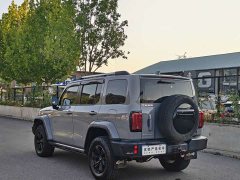 Tank 300 2021 City Edition 2.0T Essential - ფოტო 8