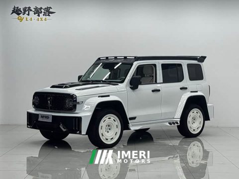 2025 Tank 300 2.0T Gasoline Conqueror - ავტომობილი ჩინეთიდან