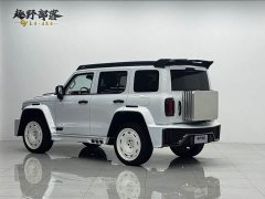 Tank 300 2.0T Gasoline Conqueror - ფოტო 13