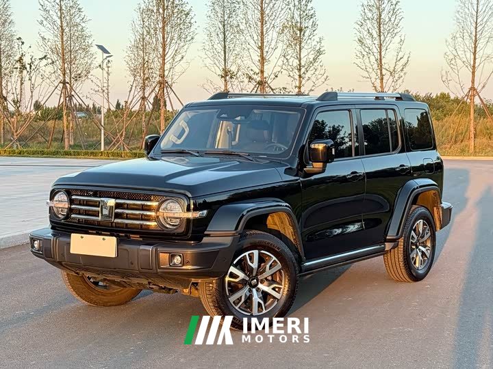Tank 300 City Edition 2.0T Stylish - ავტომობილი ჩინეთიდან