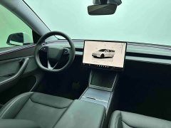 Tesla Model Y Rear-Wheel Drive - ფოტო 12