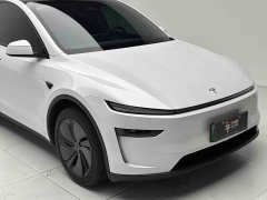 Tesla Model Y Rear-Wheel Drive - ფოტო 19