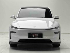 Tesla Model Y Rear-Wheel Drive - ფოტო 2