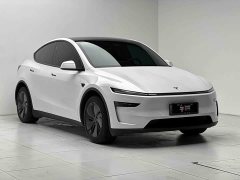 Tesla Model Y Rear-Wheel Drive - ფოტო 3