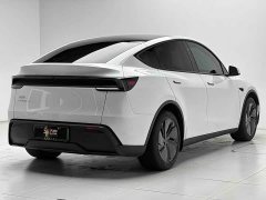 Tesla Model Y Rear-Wheel Drive - ფოტო 6