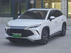 BYD Song L DM-i 2024 112km Transcendence - ფოტო 3
