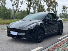 Tesla Model Y Rear-Wheel Drive - ფოტო 1