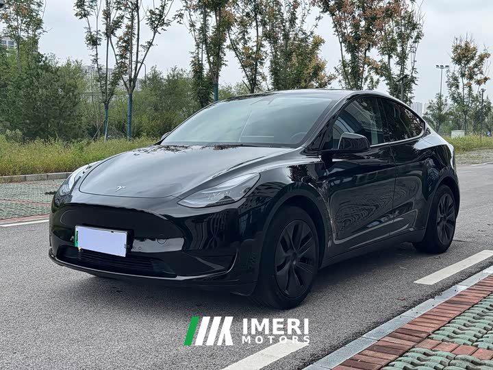 Tesla Model Y Rear-Wheel Drive