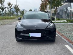 Tesla Model Y Rear-Wheel Drive - ფოტო 2