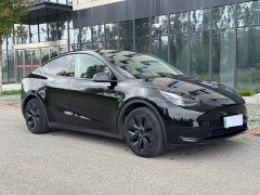 Tesla Model Y Rear-Wheel Drive - ფოტო 3