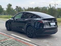 Tesla Model Y Rear-Wheel Drive - ფოტო 4