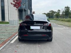 Tesla Model Y Rear-Wheel Drive - ფოტო 5