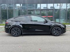 Tesla Model Y Rear-Wheel Drive - ფოტო 8