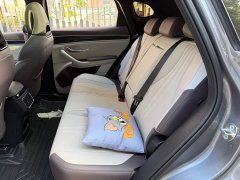 BYD Song Plus New Energy 2025 DM-i 112KM Prestige - ფოტო 12