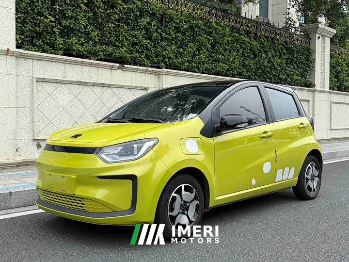 Flower Fairy 302km Fashion 31.4kWh