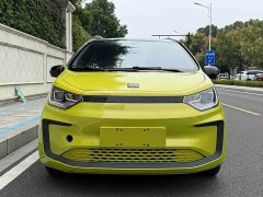 Flower Fairy 302km Fashion 31.4kWh - ფოტო 2