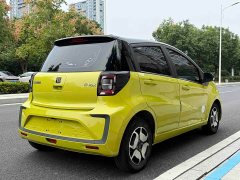 Flower Fairy 302km Fashion 31.4kWh - ფოტო 5