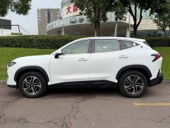 Jetour Jietu Shanhai L6 1.5TD DHT MAX - ფოტო 3