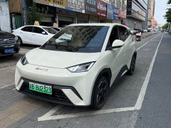 BYD Seagull Glory Edition 305km Freedom Version - ფოტო 1
