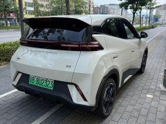 BYD Seagull Glory Edition 305km Freedom Version - ფოტო 2