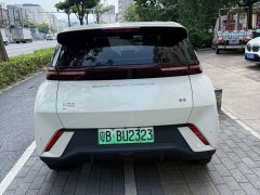 BYD Seagull Glory Edition 305km Freedom Version - ფოტო 3