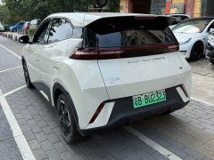 BYD Seagull Glory Edition 305km Freedom Version - ფოტო 4