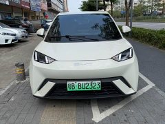 BYD Seagull Glory Edition 305km Freedom Version - ფოტო 5