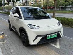 BYD Seagull Glory Edition 305km Freedom Version - ფოტო 6