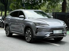BYD Song Plus New Energy 2023 Champion Edition DM-i 110KM Flagship - ფოტო 3