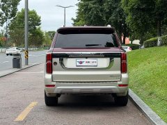 Tank 500 3.0T Premium Custom Edition 5-Seater - ფოტო 5