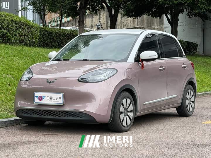 Wuling Binguo 2023 333km Joy Edition - ავტომობილი ჩინეთიდან