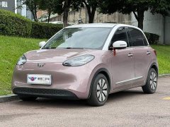 Wuling Binguo 2023 333km Joy Edition - ფოტო 1