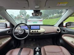 Wuling Binguo 2023 333km Joy Edition - ფოტო 13