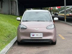 Wuling Binguo 2023 333km Joy Edition - ფოტო 2