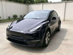 Tesla Model Y Standard Range RWD - ფოტო 1