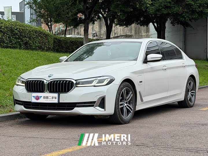 BMW 5 Series New Energy 535Le Luxury Package - ავტომობილი ჩინეთიდან