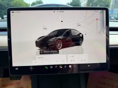 Tesla Model 3 Rear-Wheel Drive - ფოტო 9